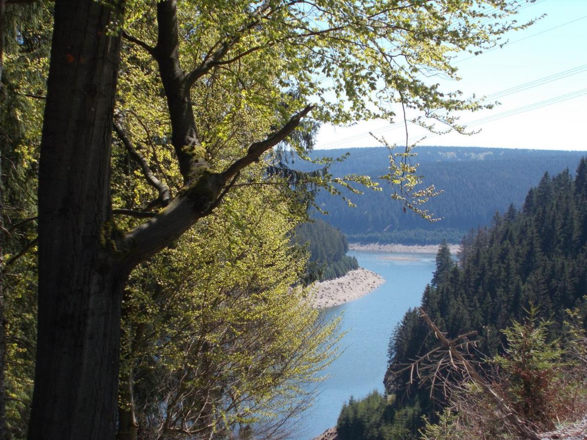 Linde Am Bleßberg * Schirnrod